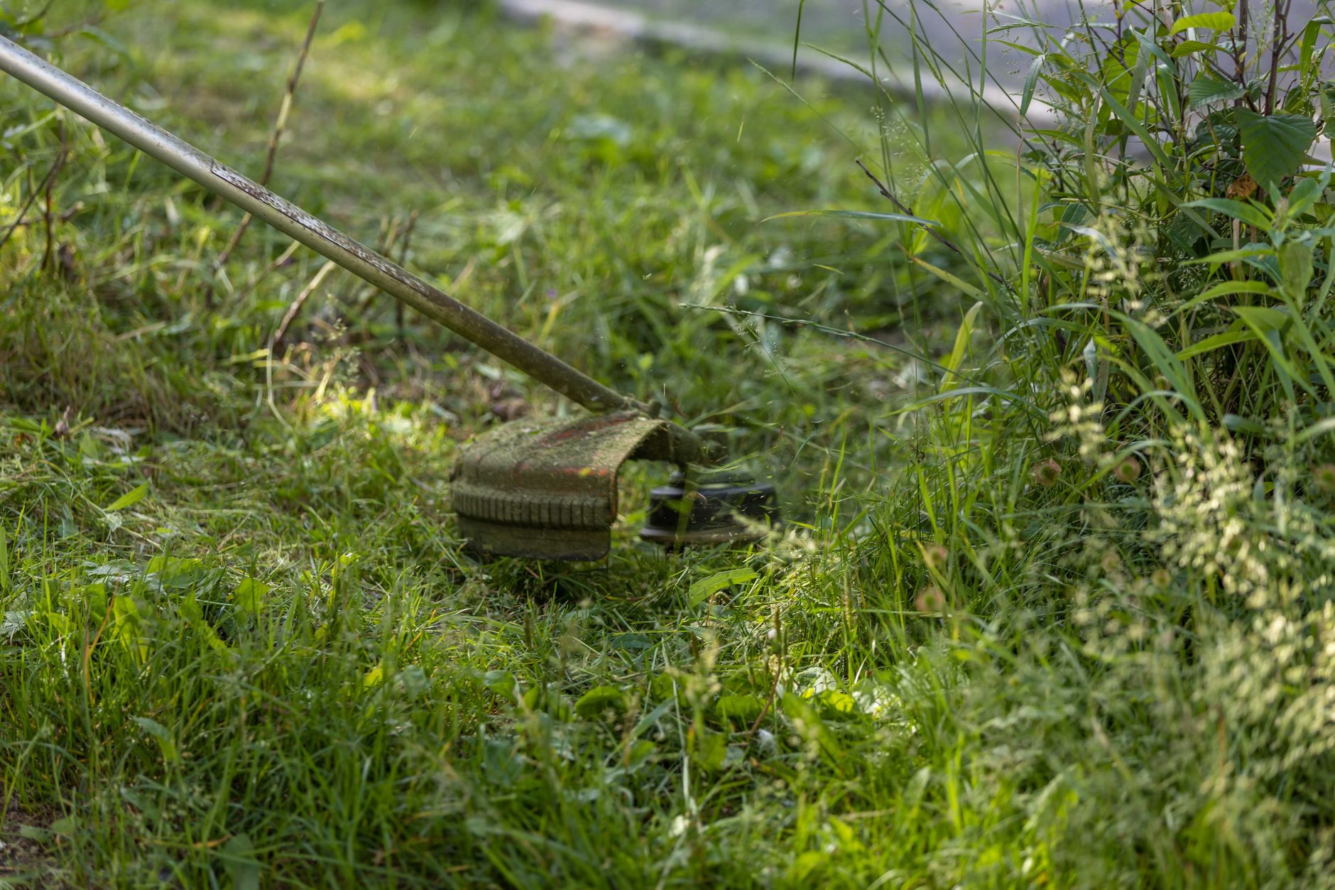 Yard Maintenance